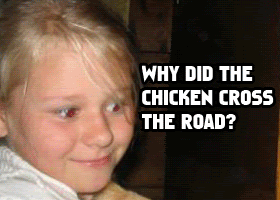 Name:  SILLYHUMAN.gif
Views: 31
Size:  174.8 KB