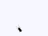 Name:  Bug.gif
Views: 28
Size:  2.6 KB
