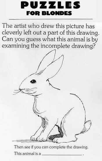 Name:  rabbit.jpg
Views: 40
Size:  25.5 KB