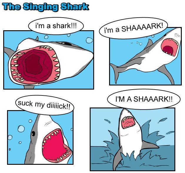 Name:  SHARK.jpg
Views: 41
Size:  58.9 KB