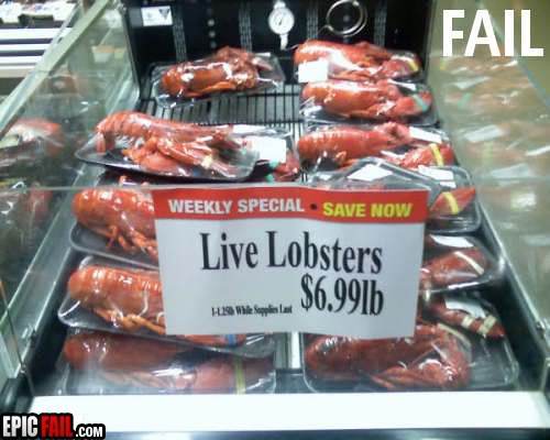 Name:  live-lobsters-fail.jpg
Views: 108
Size:  38.0 KB
