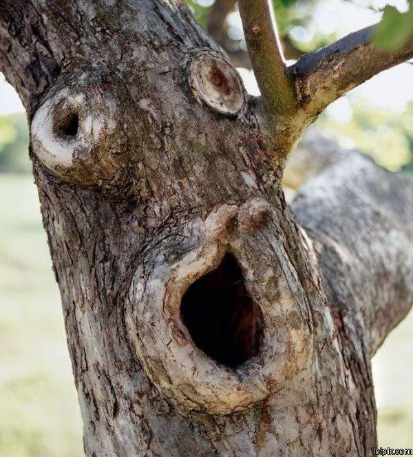 Name: Funny_Pictures_57913.jpg
Views: 58
Size: 104.8 KB