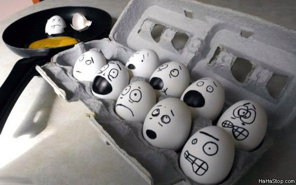 Name:  All_Scared_Eggs.jpg
Views: 47
Size:  36.4 KB