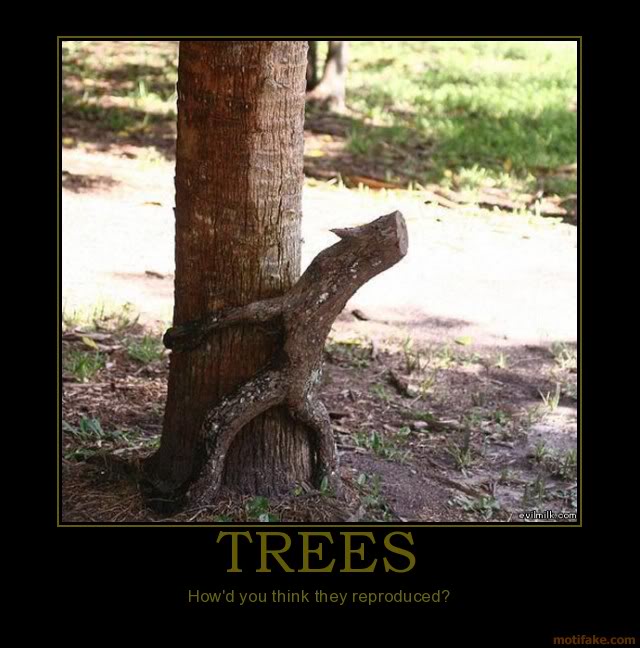 Name:  trees-trees-demotivational-poster-1.jpg
Views: 22
Size:  69.5 KB