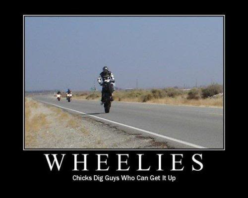 Name:  wheelie-chicks-get-up.jpg
Views: 126
Size:  19.8 KB