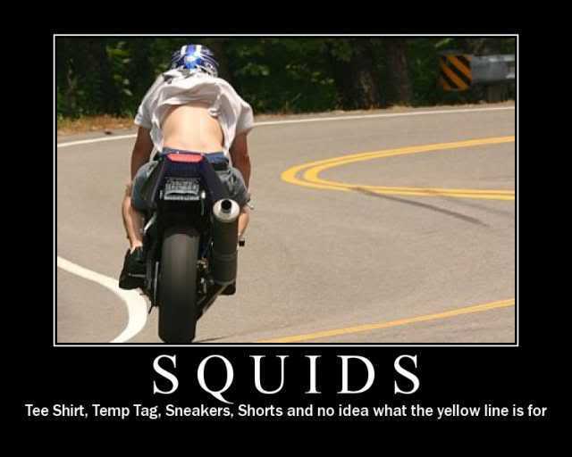 Name:  squid3.jpg
Views: 167
Size:  23.9 KB