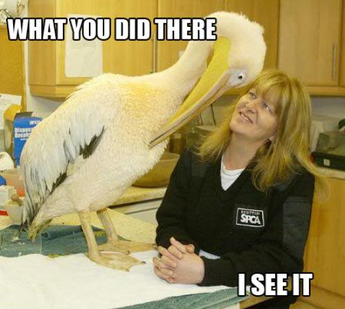 Name:  what-you-did-there-i-see-itthumbnai.jpg
Views: 14
Size:  33.7 KB