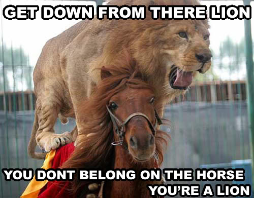 Name: lionhorse.jpg
Views: 204
Size: 49.2 KB