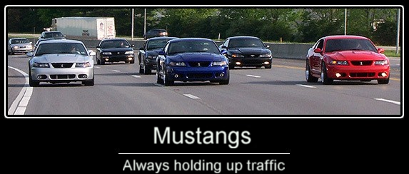 Name:  mustangesalwaysholduptraffic.png
Views: 23
Size:  236.7 KB