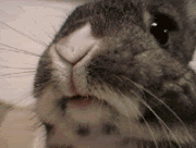 Name: nomnomnommf0.gif
Views: 18
Size: 200.0 KB