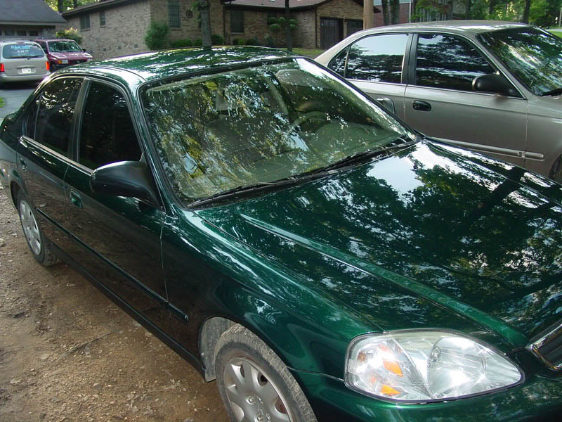 Name: DSC05168ab.jpg
Views: 105
Size: 134.5 KB