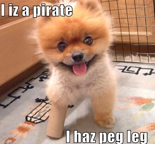Name:  pegleg.jpg
Views: 23
Size:  40.8 KB