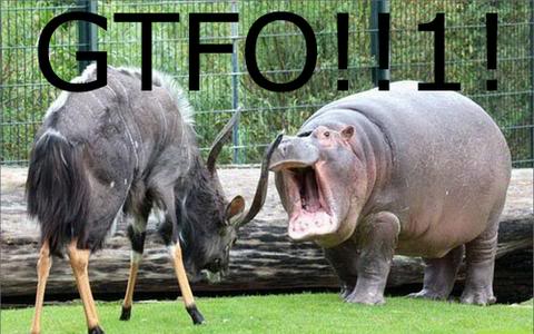 Name:  gtfo-2.jpg
Views: 33
Size:  35.2 KB