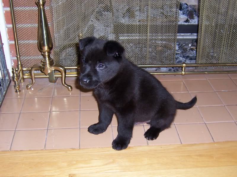 Name:  Picture029.jpg
Views: 59
Size:  115.5 KB