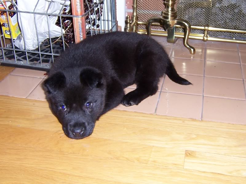 Name:  Picture030.jpg
Views: 57
Size:  90.5 KB