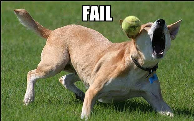 Name:  fail.jpg
Views: 24
Size:  37.7 KB