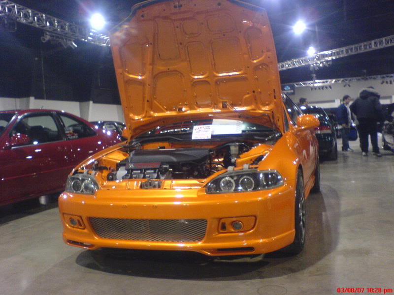 Name:  pics038.jpg
Views: 83
Size:  70.4 KB