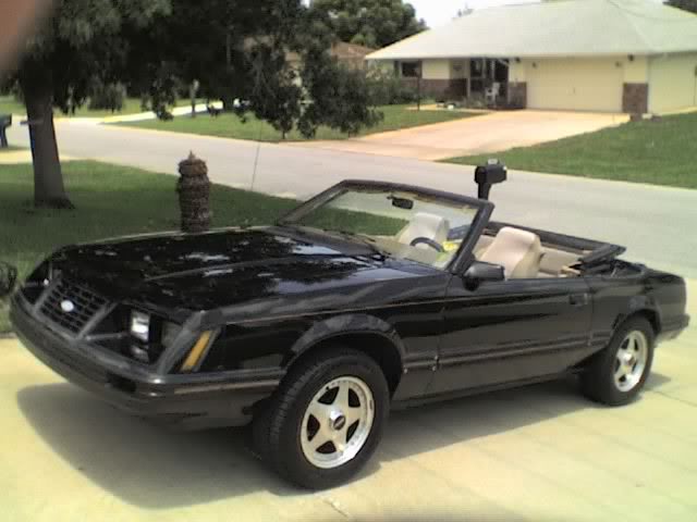 Name:  mustang.jpg
Views: 35
Size:  37.1 KB