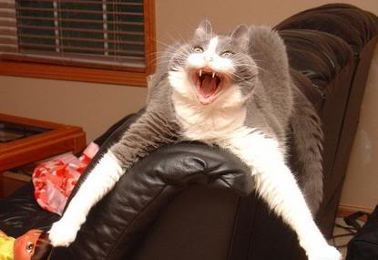 Name:  crazy.jpg
Views: 18
Size:  20.3 KB