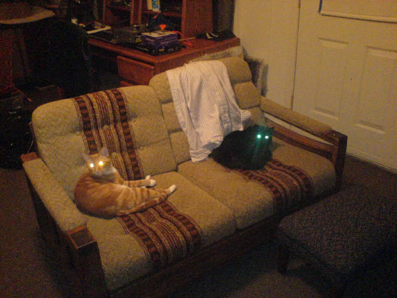 Name:  ScaryCats.jpg
Views: 38
Size:  97.7 KB