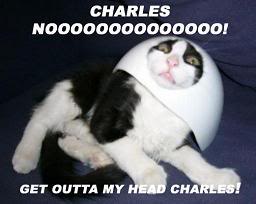 Name:  nocharles.jpg
Views: 31
Size:  10.0 KB