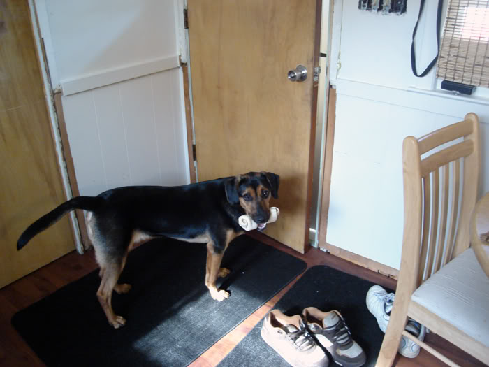 Name: Brody05-21-077.jpg
Views: 32
Size: 56.6 KB