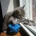 Name:  1052615_pic.jpg
Views: 49
Size:  9.2 KB