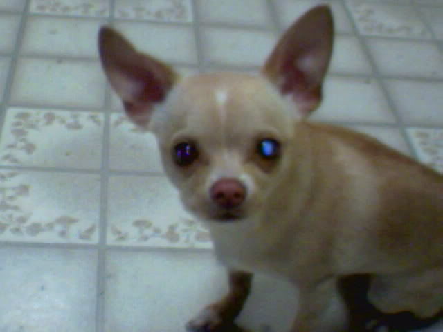 Name:  Tico-1.jpg
Views: 55
Size:  22.9 KB