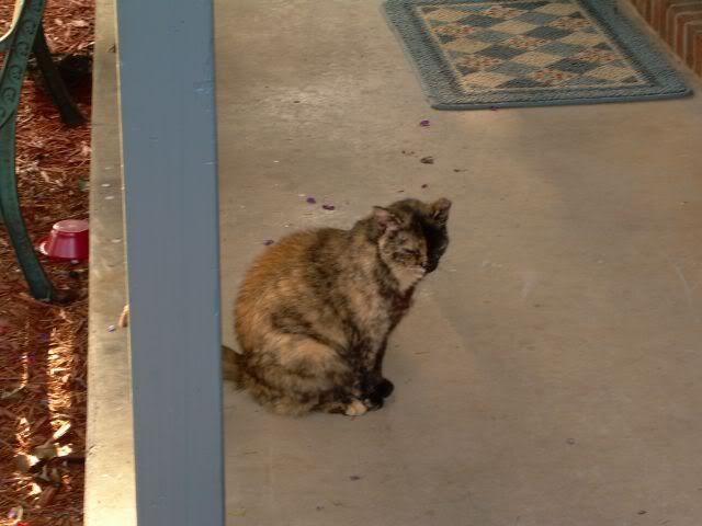 Name:  franny-1.jpg
Views: 38
Size:  67.7 KB