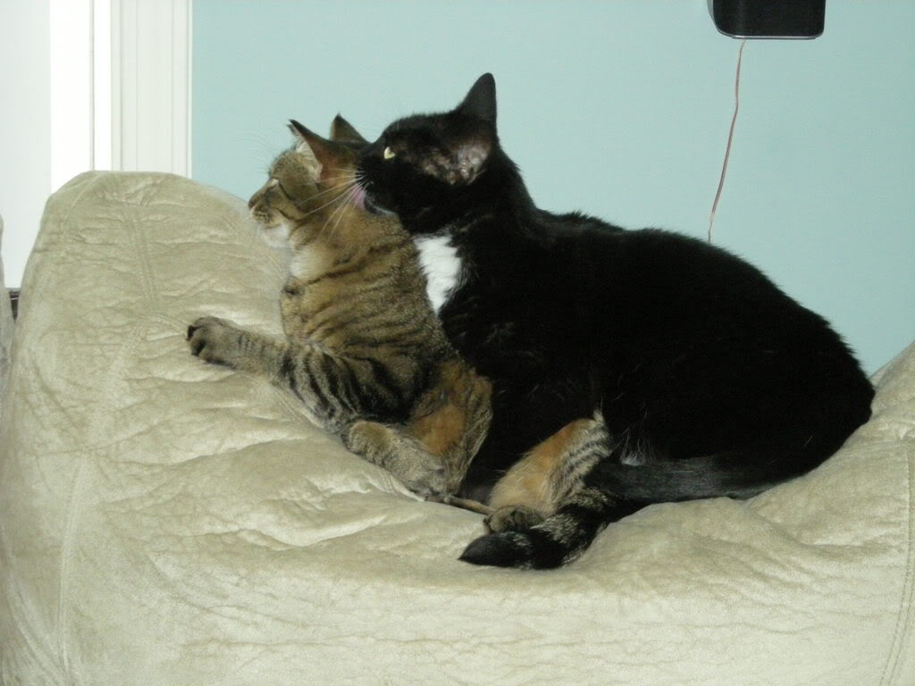 Name:  DSCN2058.jpg
Views: 43
Size:  85.4 KB