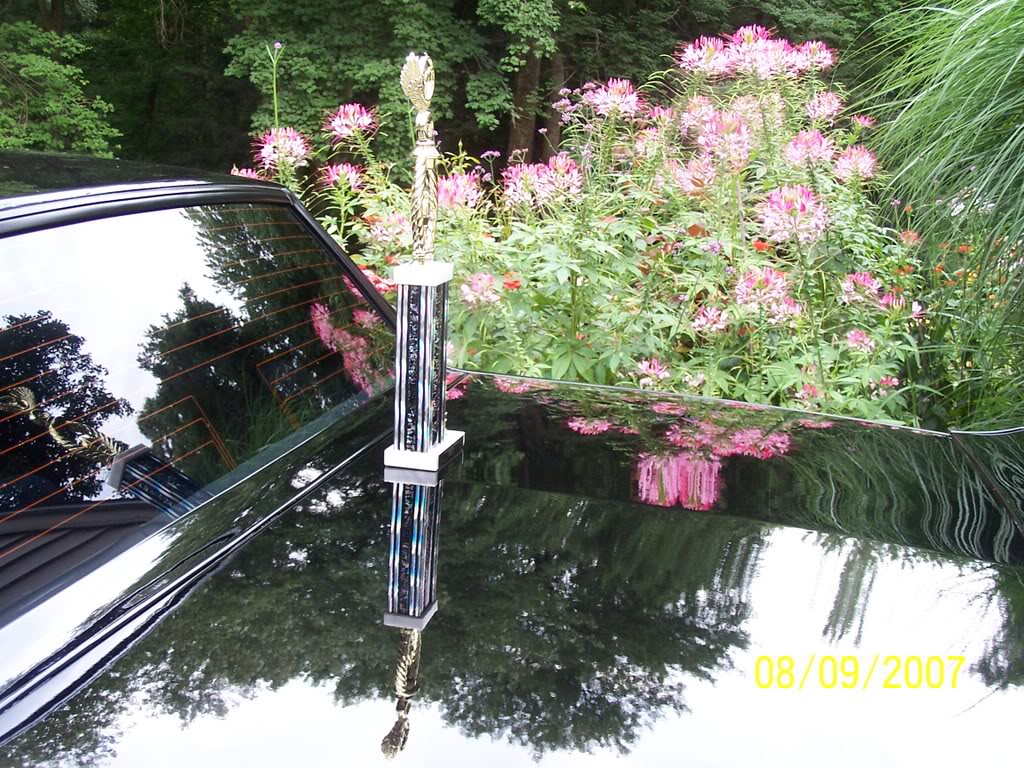 Name: 100_2712.jpg
Views: 30
Size: 242.9 KB