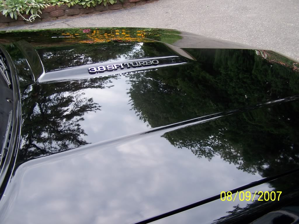 Name: 100_2706.jpg
Views: 43
Size: 139.5 KB