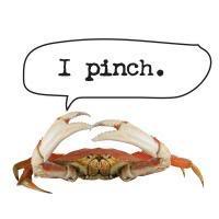 Name:  ipinch.jpg
Views: 21
Size:  5.5 KB