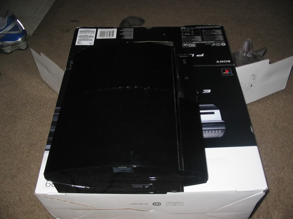 Name:  IMG_1605.jpg
Views: 30
Size:  77.3 KB