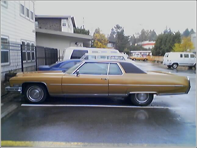Name: Cady2.jpg
Views: 130
Size: 43.4 KB
