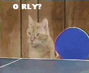 Name:  orly.gif
Views: 227
Size:  166.2 KB