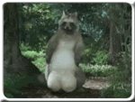 Name:  788a529d.gif
Views: 113
Size:  217.0 KB