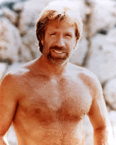 Name:  chucknorris.gif
Views: 137
Size:  33.2 KB