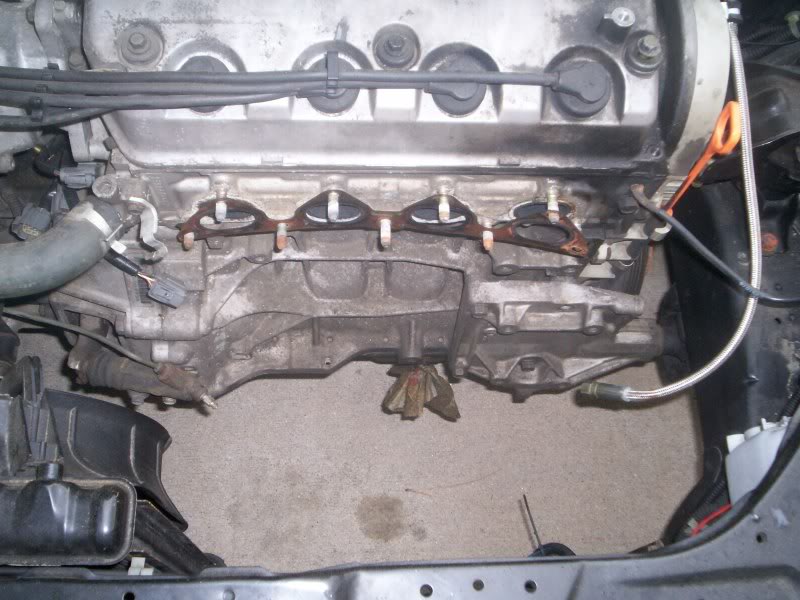 Name: 100_2529.jpg
Views: 233
Size: 89.7 KB