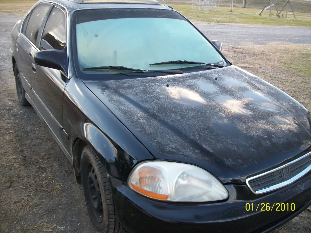 Name: 100_0031.jpg
Views: 222
Size: 170.8 KB