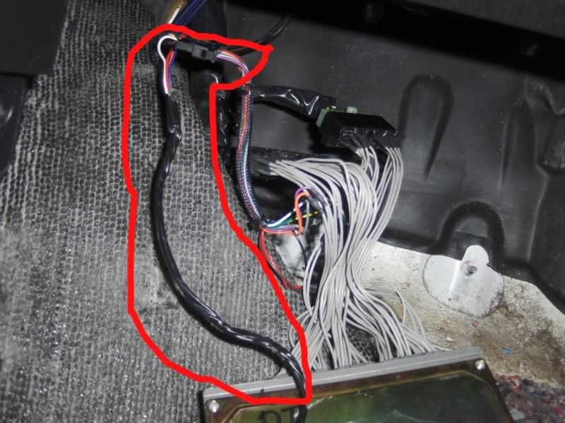 Name:  harness.jpg
Views: 147
Size:  118.6 KB
