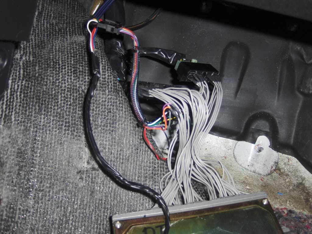 Name:  HPIM4711.jpg
Views: 184
Size:  197.8 KB