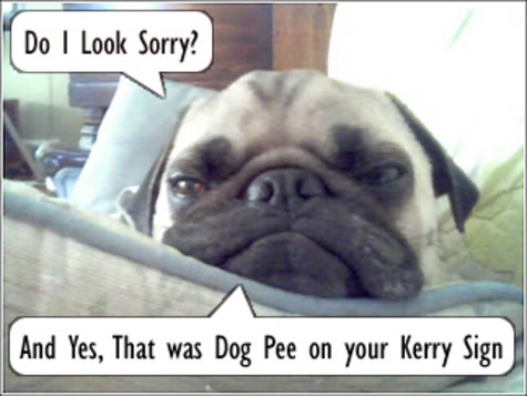 Name:  not_sorry.jpg
Views: 40
Size:  28.1 KB