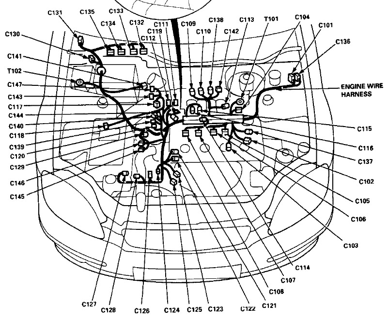 B16 Engine Wiring Diagram - Wiring Diagram and Schematics