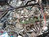 Sitting for a year no start-dsc02811.jpg