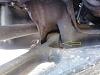 Help with Bushing Identification?-2011-04-16-13.19.13.jpg