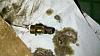 What would you do if your ATF plug looked like this?-2011-08-23_04-26-49_261.jpg