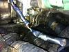 Oil/Coolant leak cant figure out-038.jpg