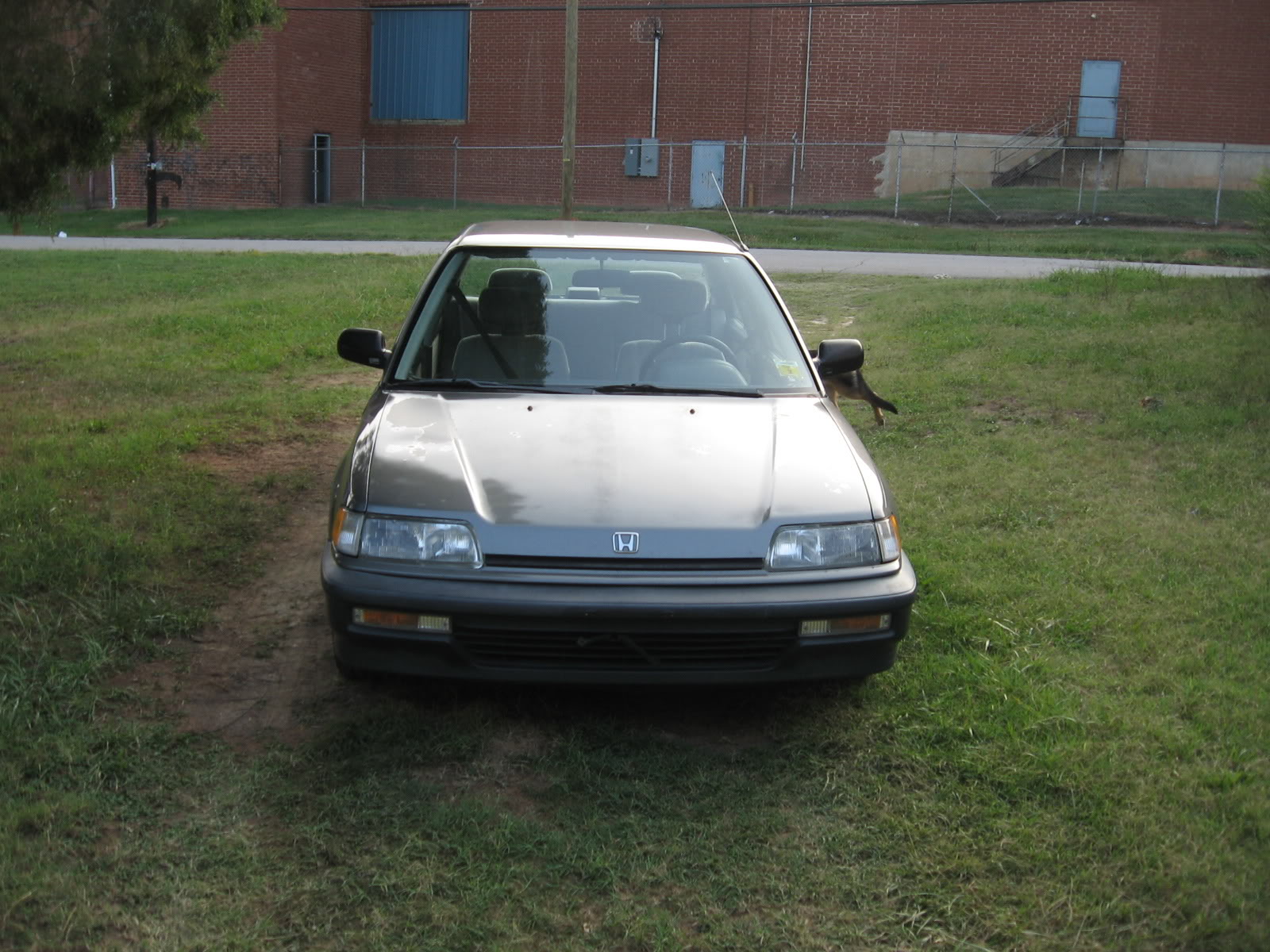 Name:  Honda012.jpg
Views: 412
Size:  322.2 KB