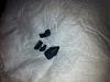 98 civic clutch switch stopper-img_1288.jpg